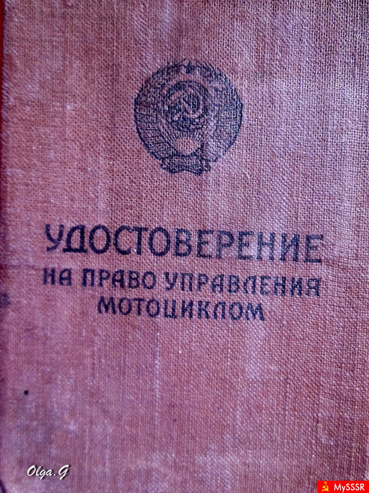 -  1965-  ( )