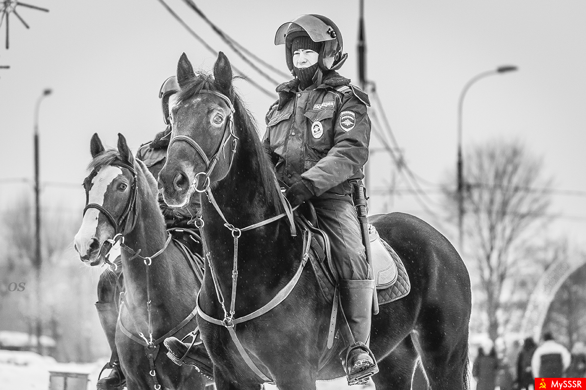 Полиция