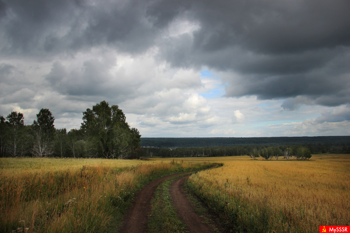 Фото пейзаж