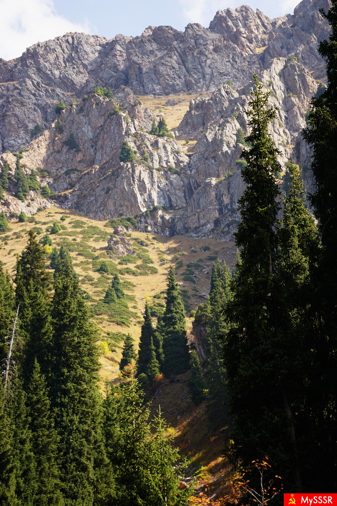 Nature Photo. .