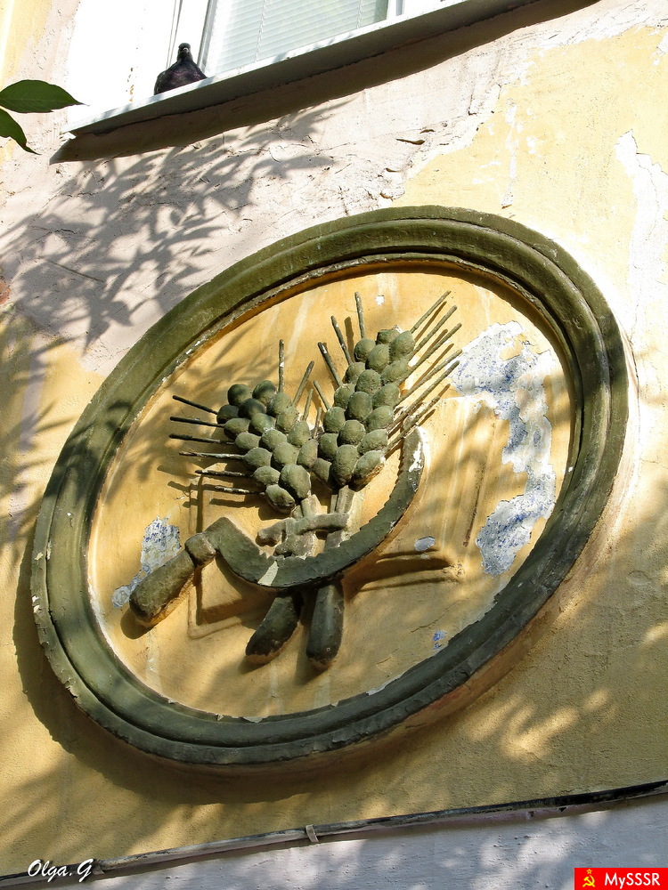  1951 