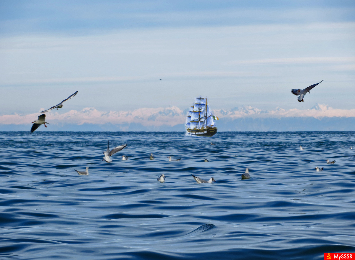 На морских просторах