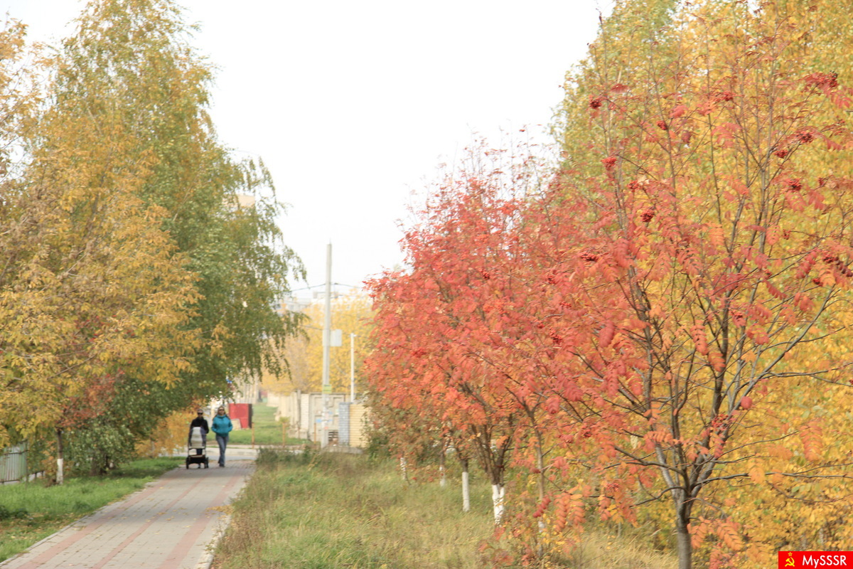 Мой  город