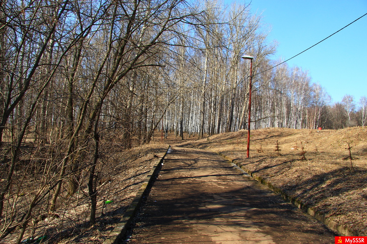 Весна в городском парке