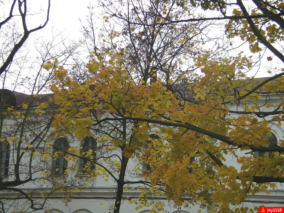 Мой  город
