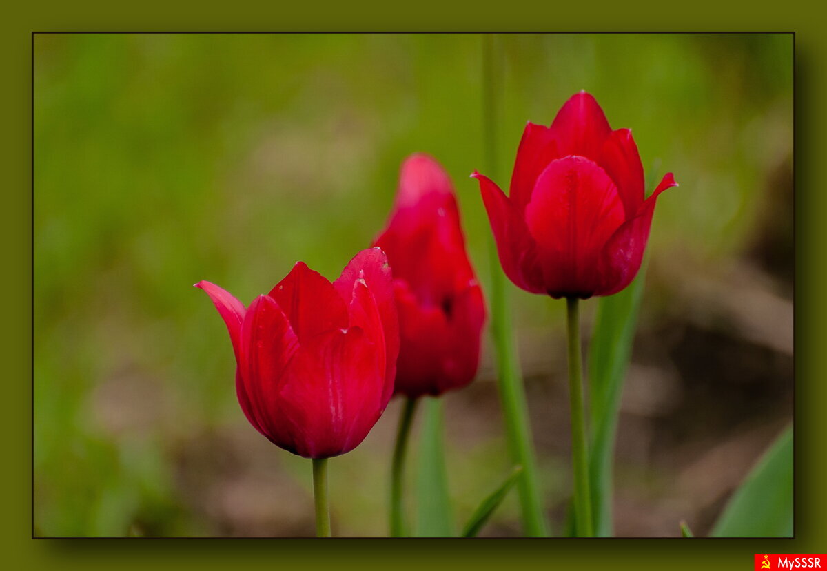 ПРИРОДА