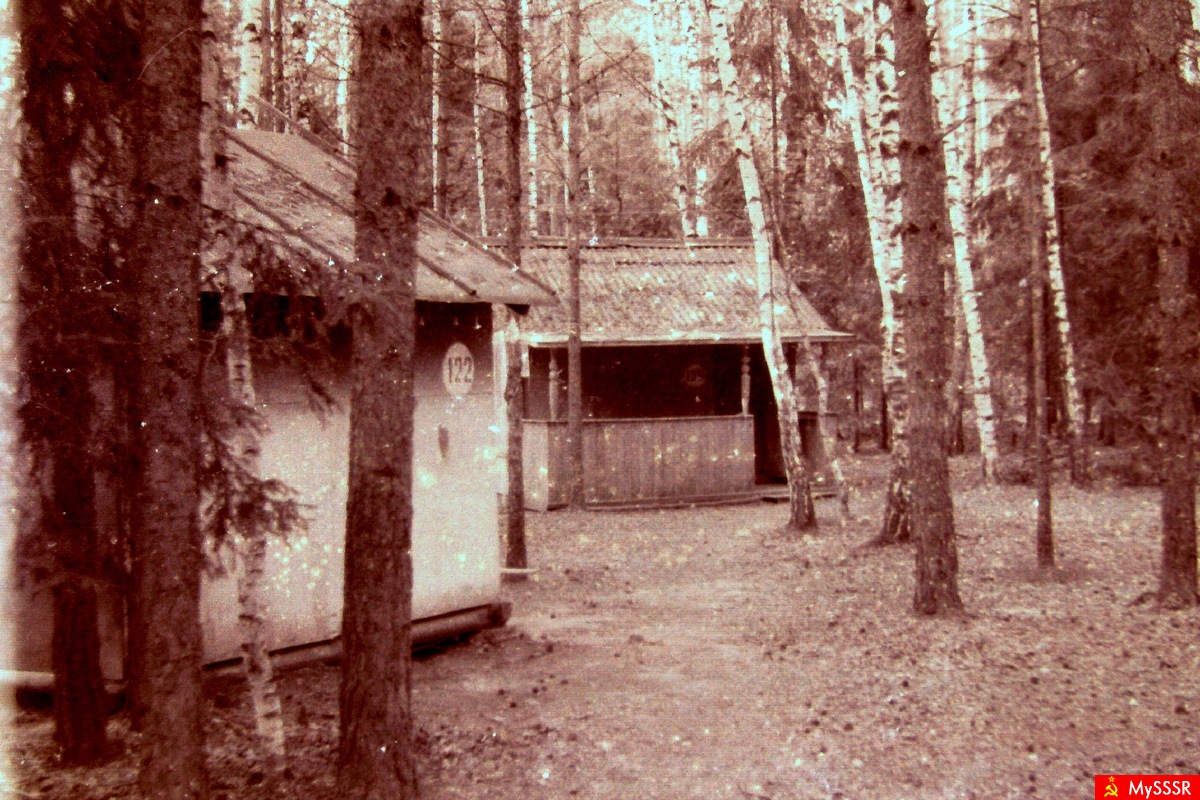     -  "", 1986 
