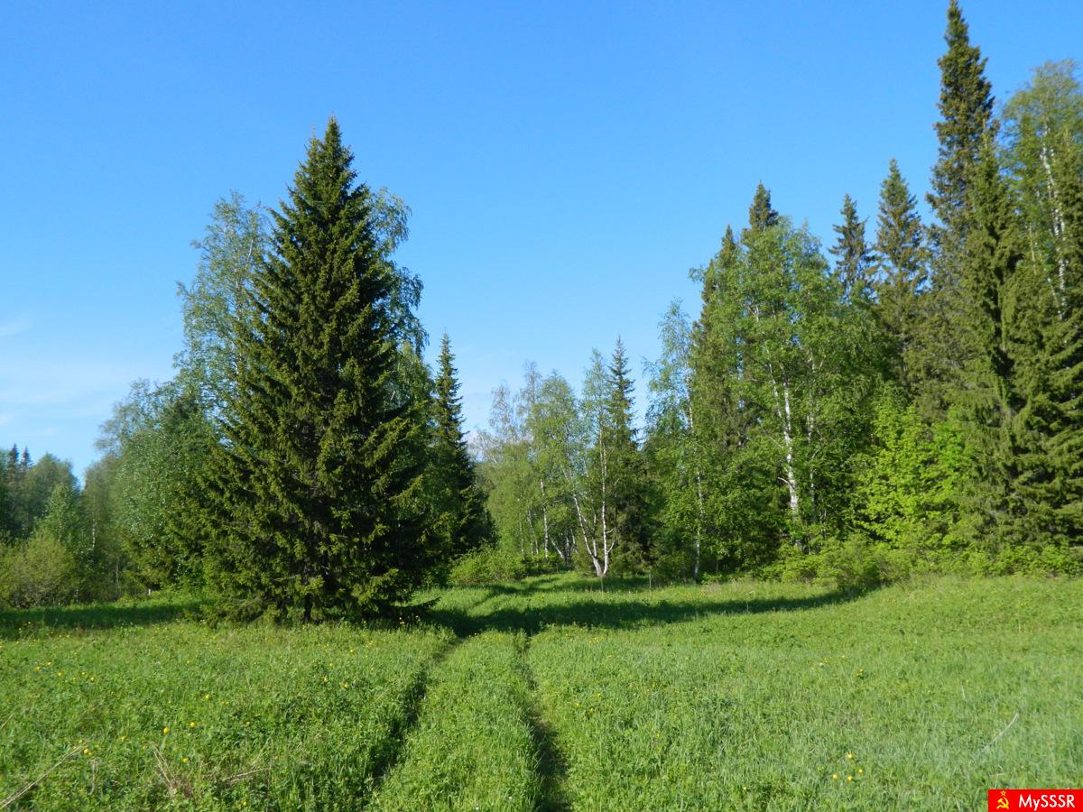 Фотографии из путешествия