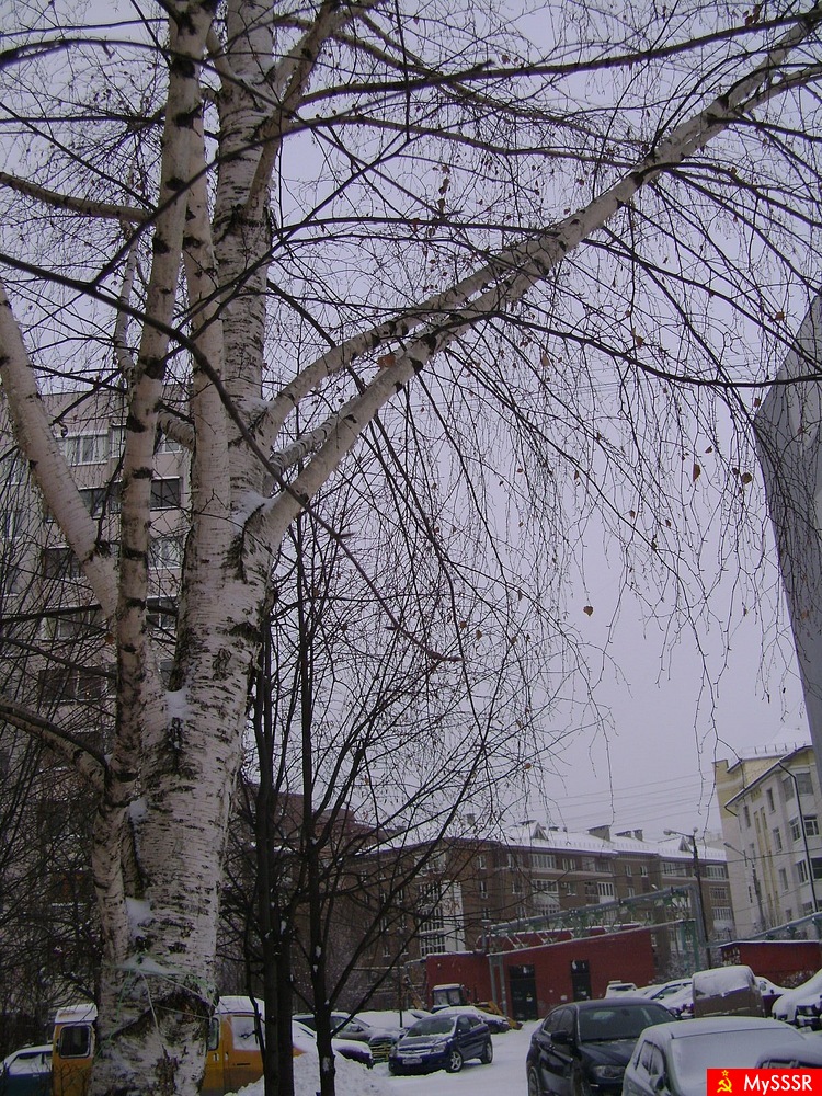 Зимний день