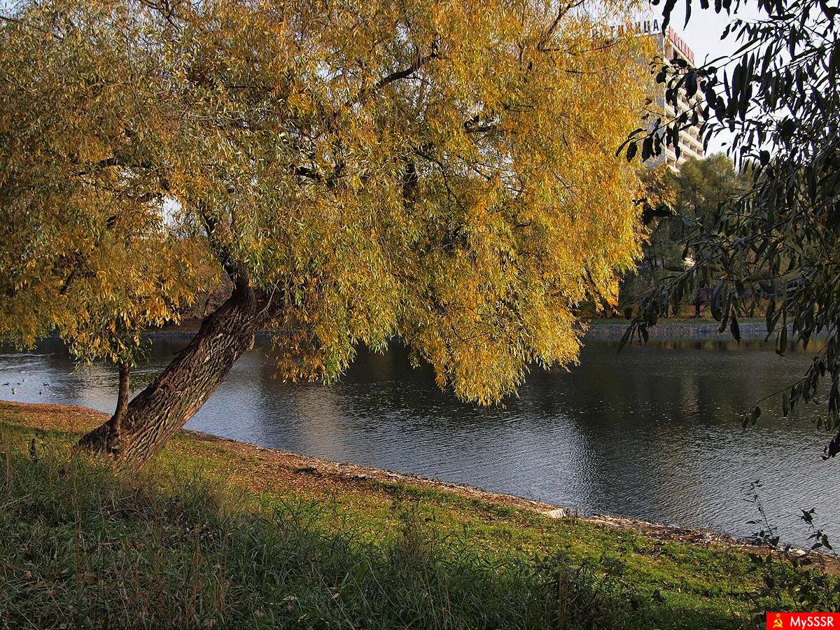Осень