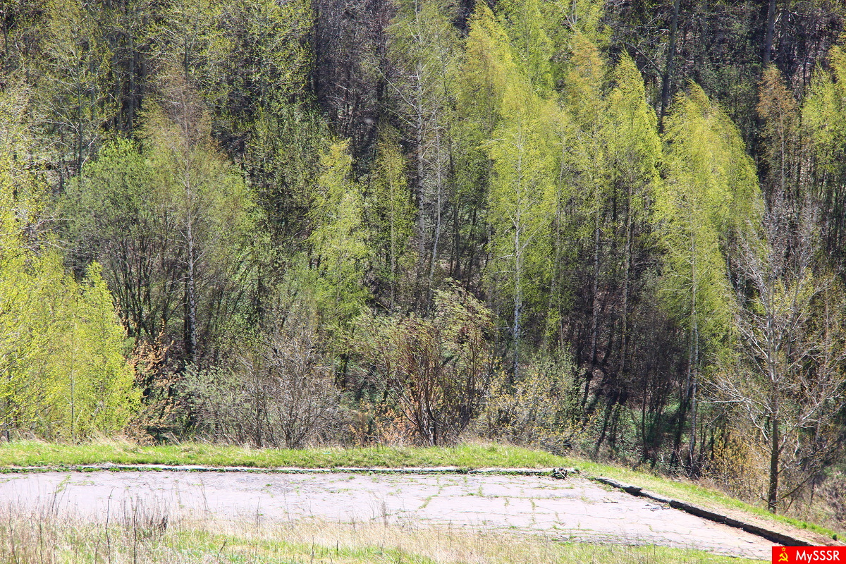 Весенний мотив