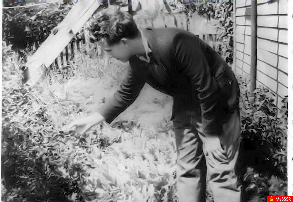, 1962 .