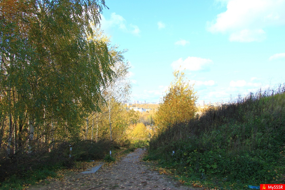 Дорога в осень