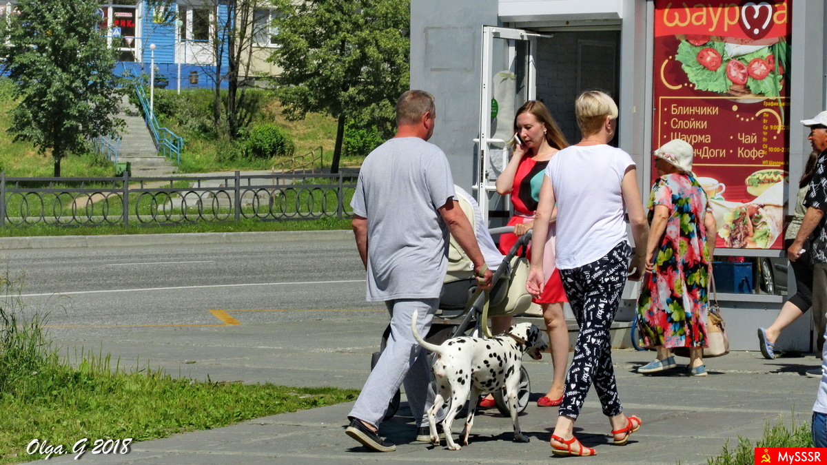 STREET FOTO. LESNOY