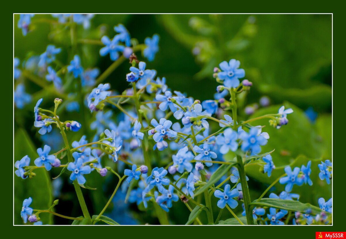 ПРИРОДА