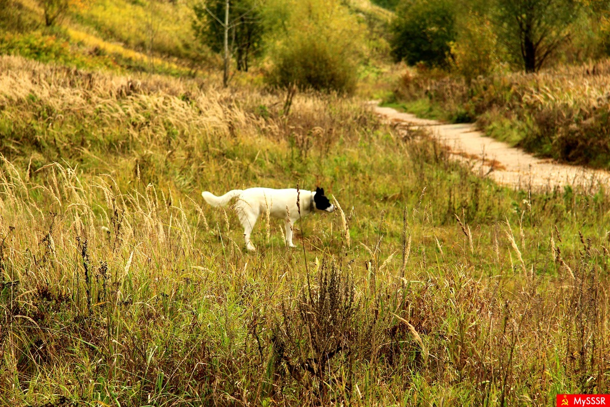 На прогулке