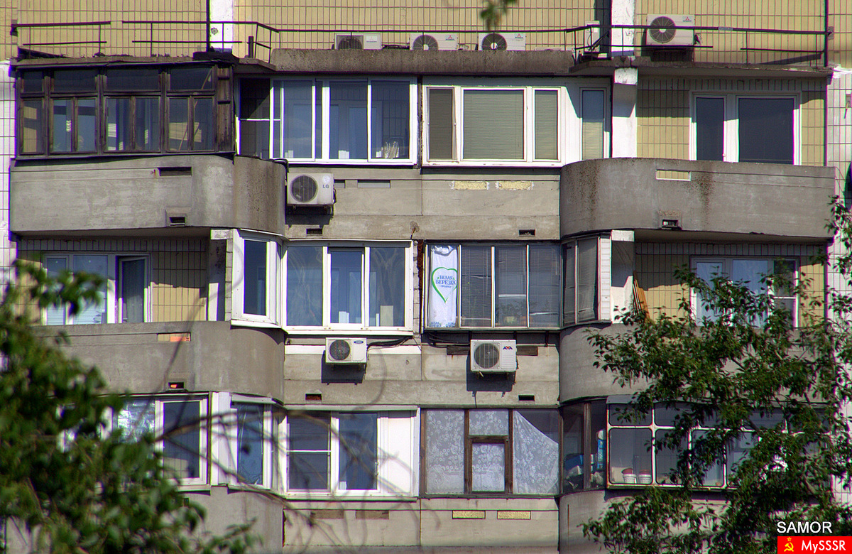 Белая берёза