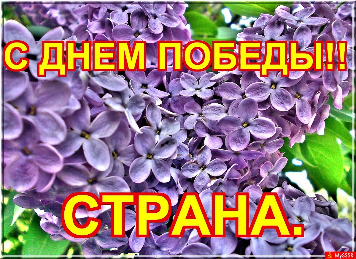   -  !