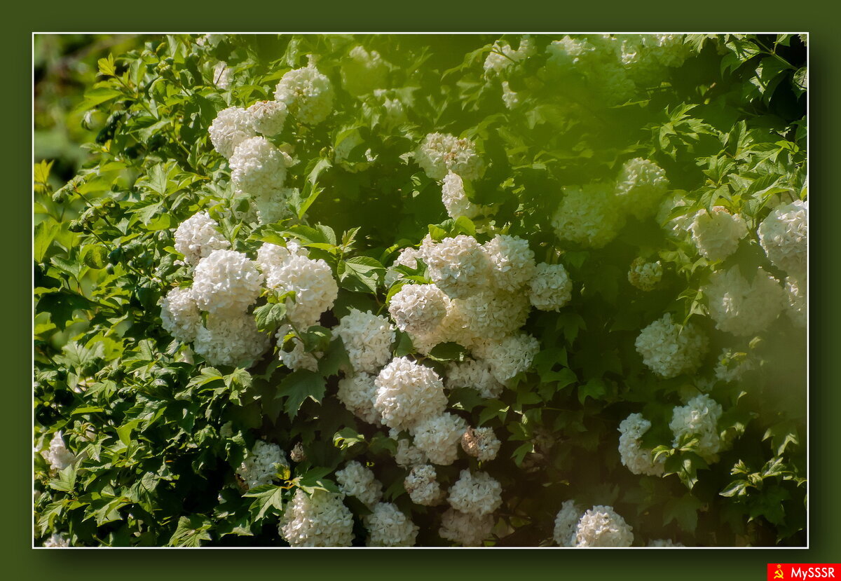 Природа