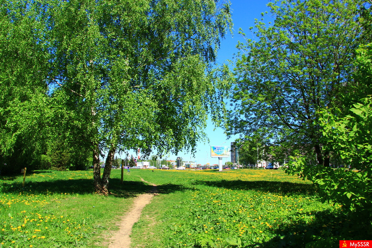 Мой город