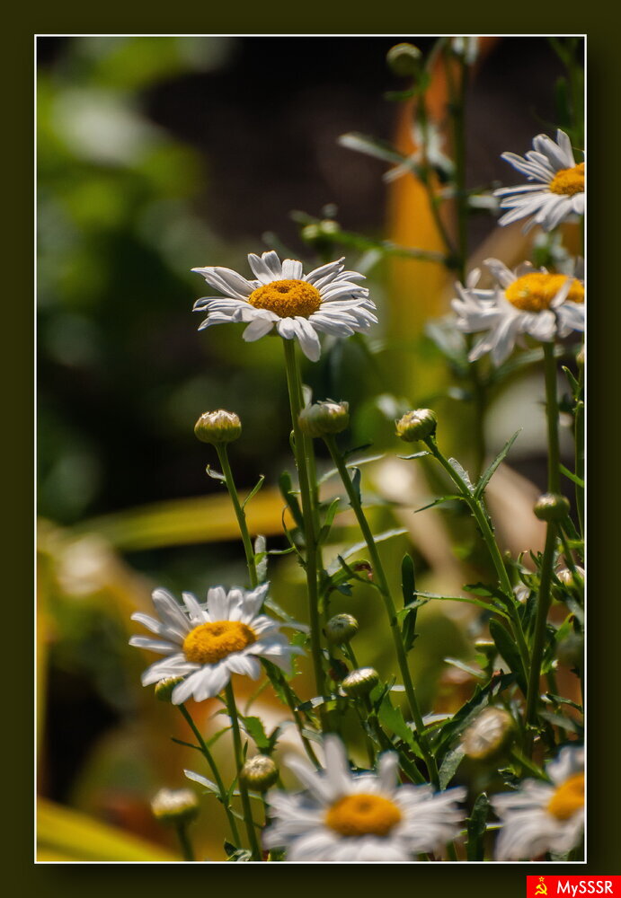 ПРИРОДА