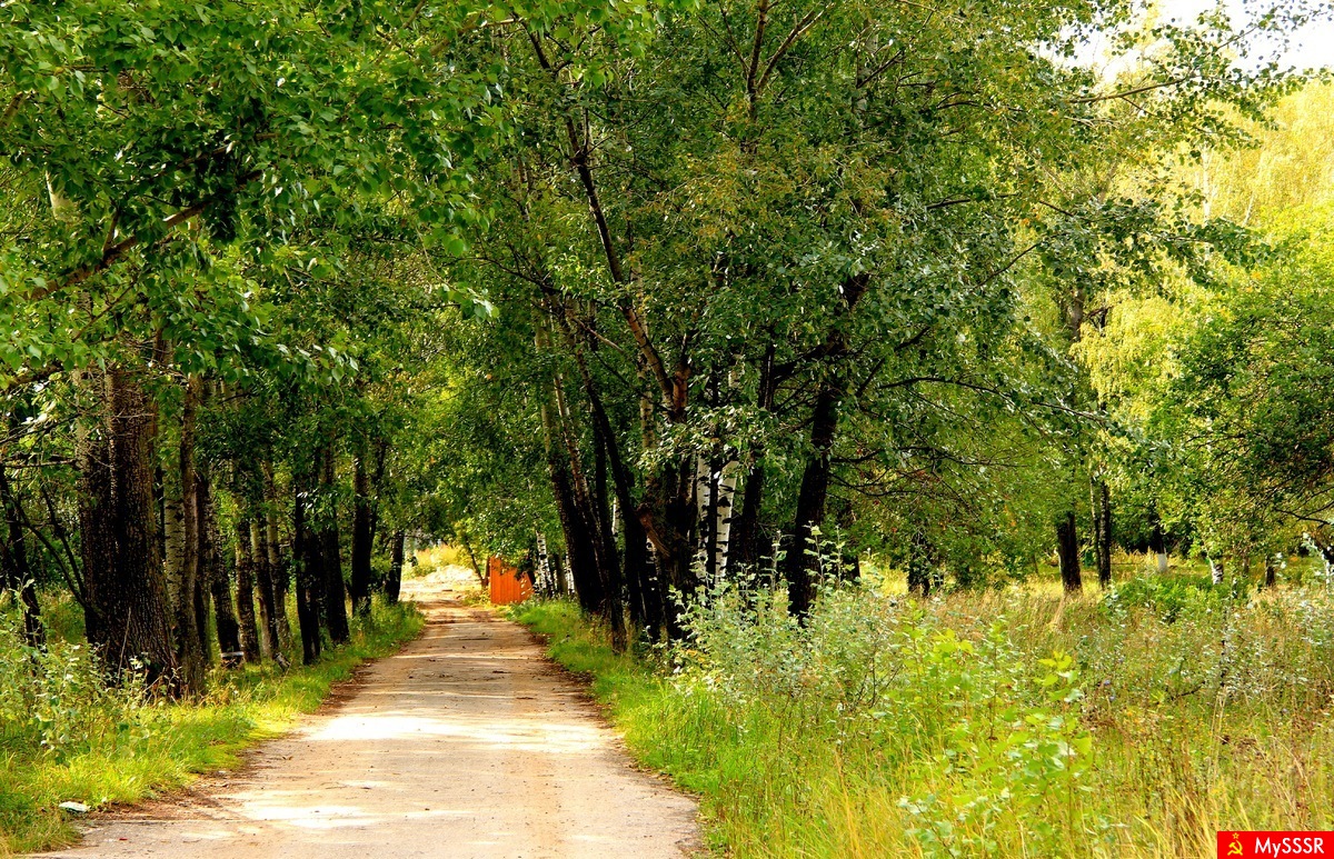 Аллея