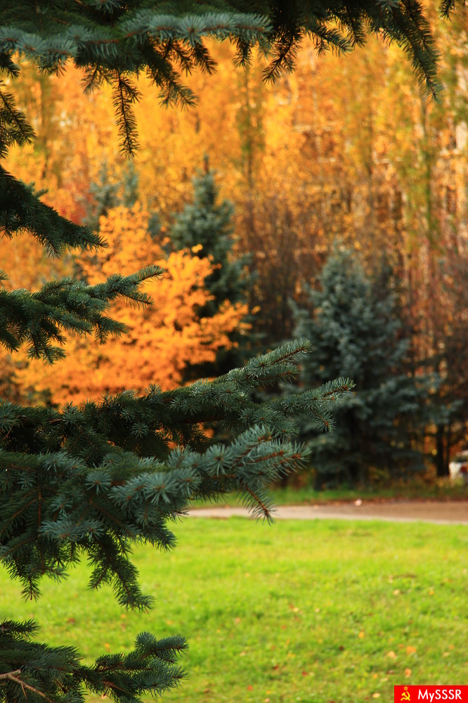 Осень