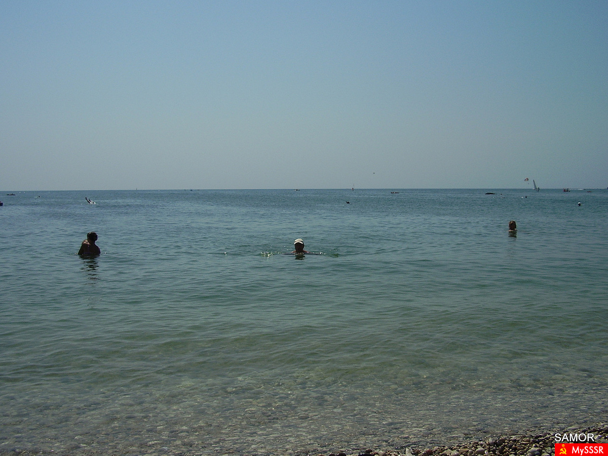  2010
