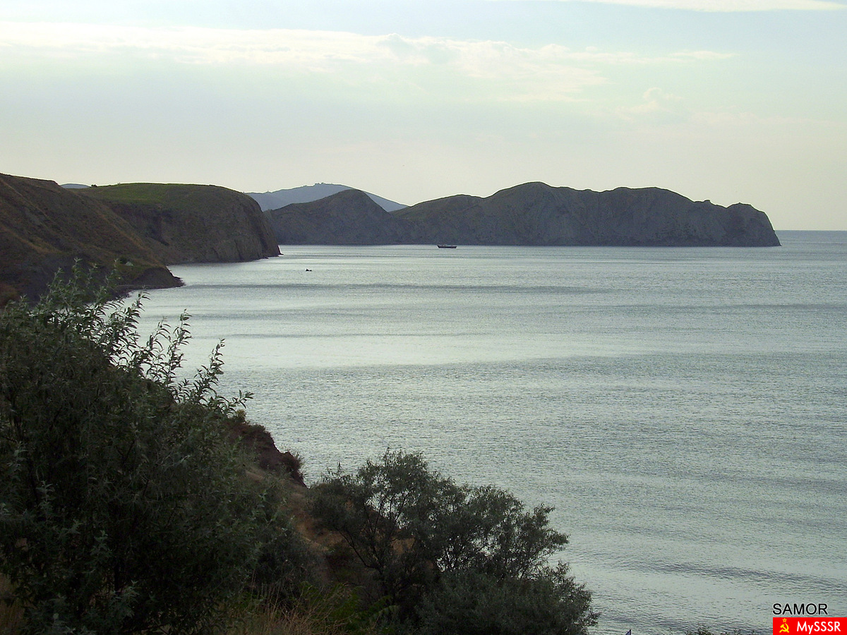  2010