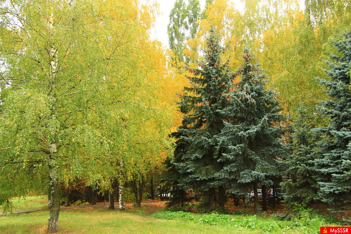 Осень