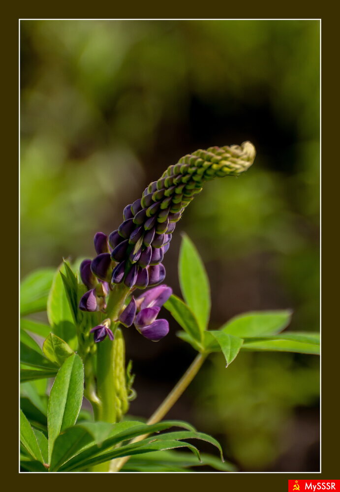 ПРИРОДА
