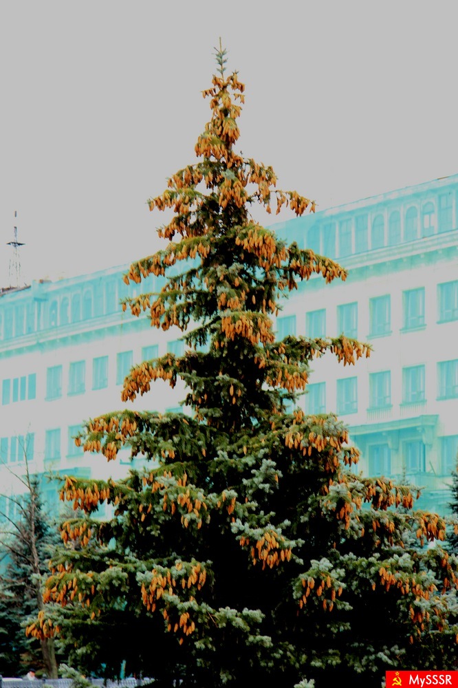 Город