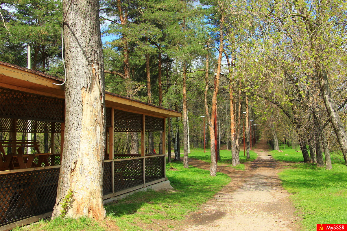 В весеннем парке
