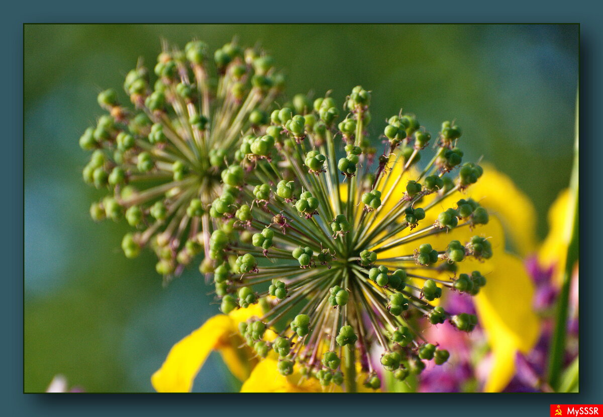 ПРИРОДА