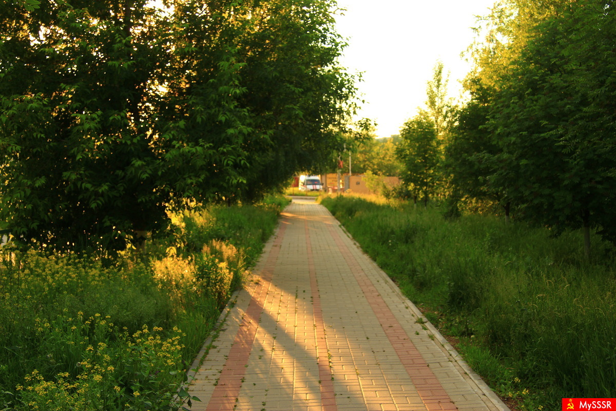 Мой город