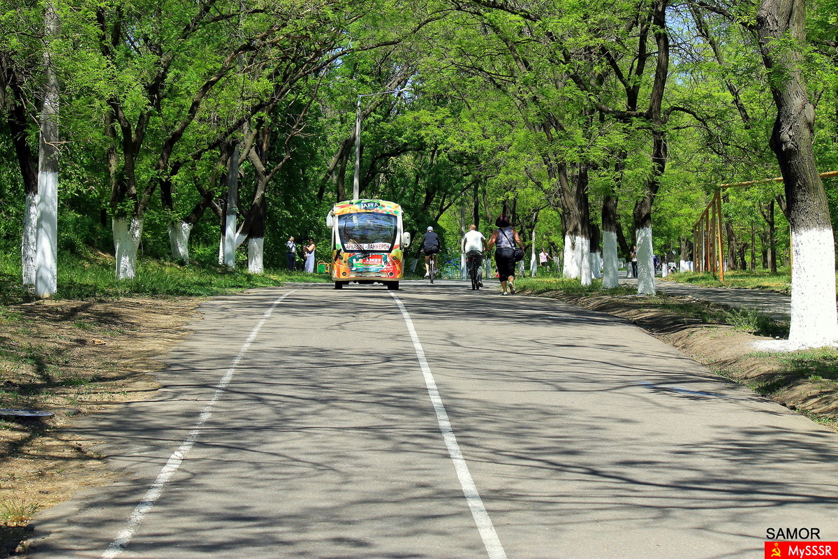     2013