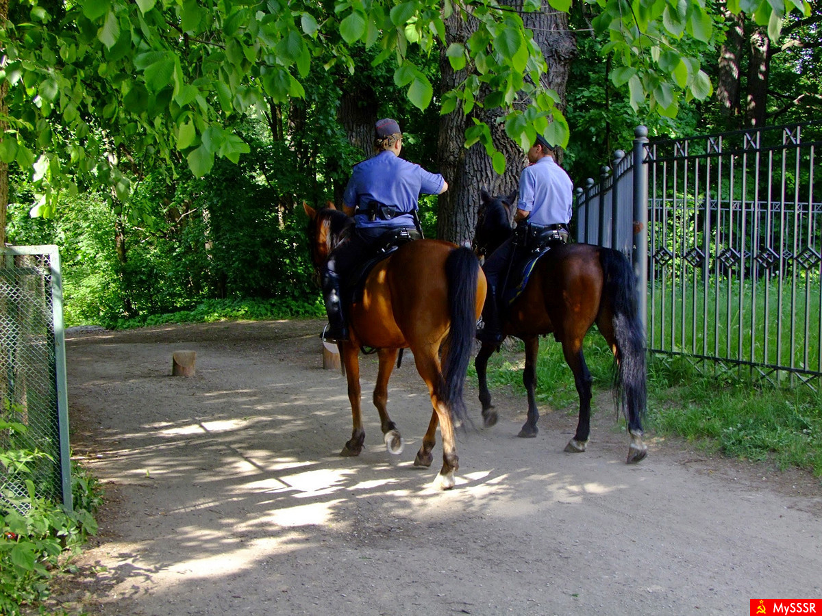 Патруль
