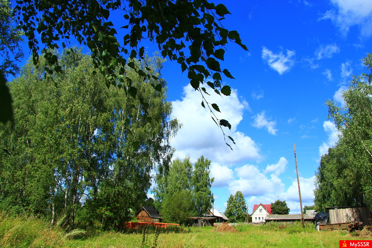 Деревенский пейзаж