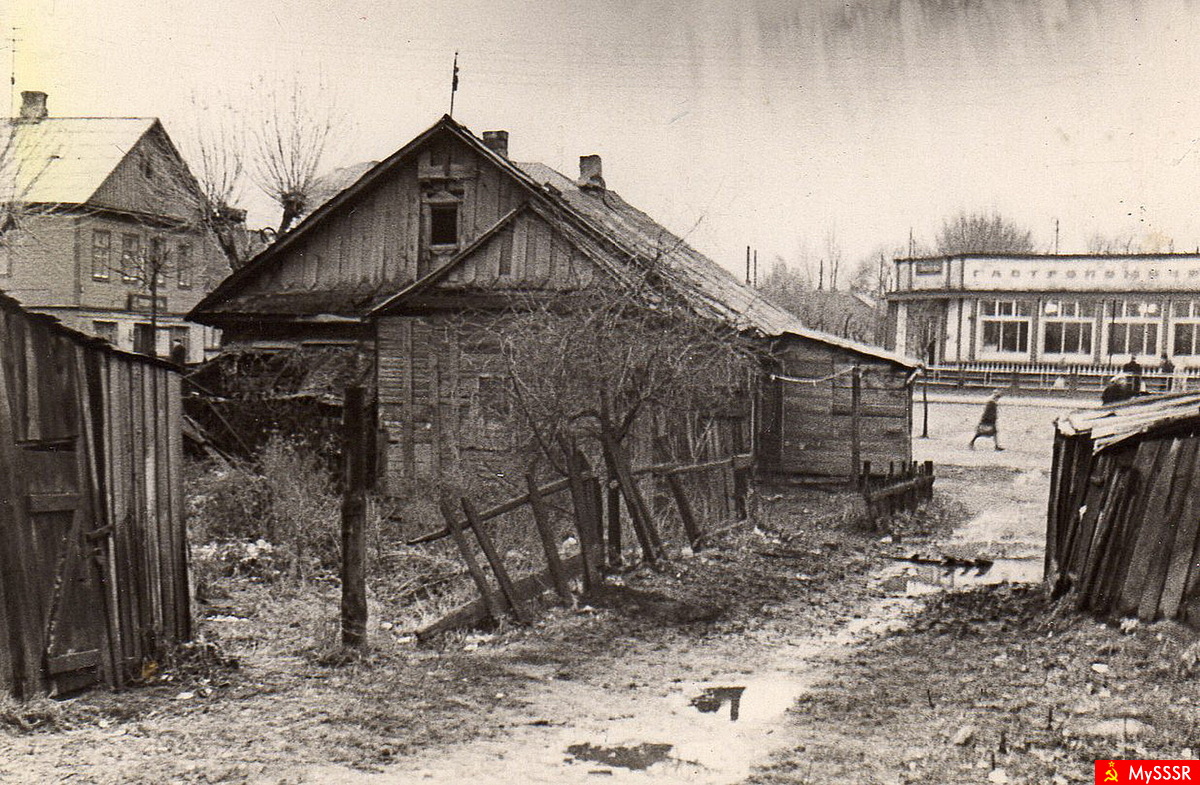     1954-....