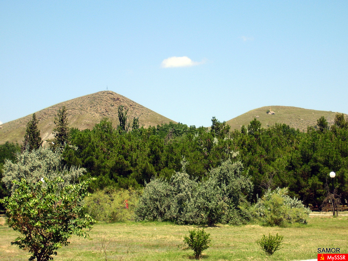  2010