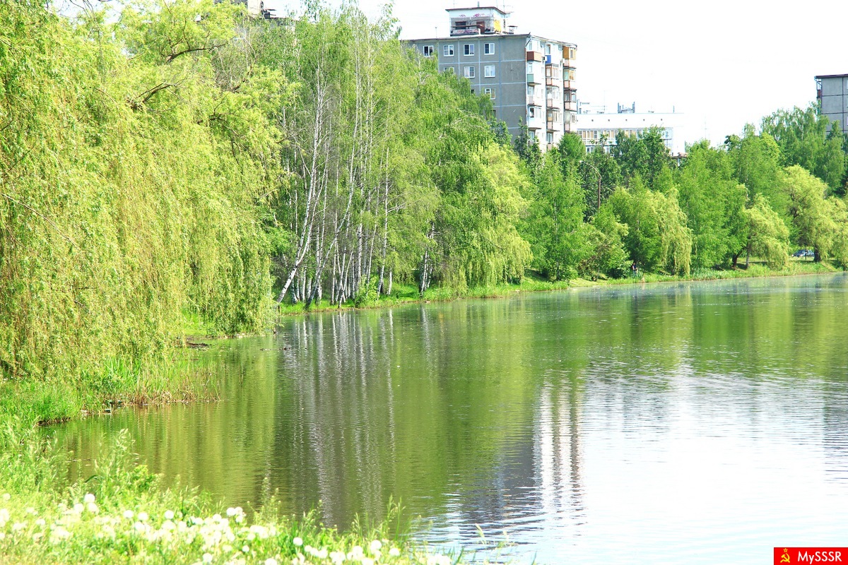У городского озера