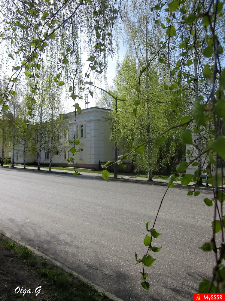 Зелёный город