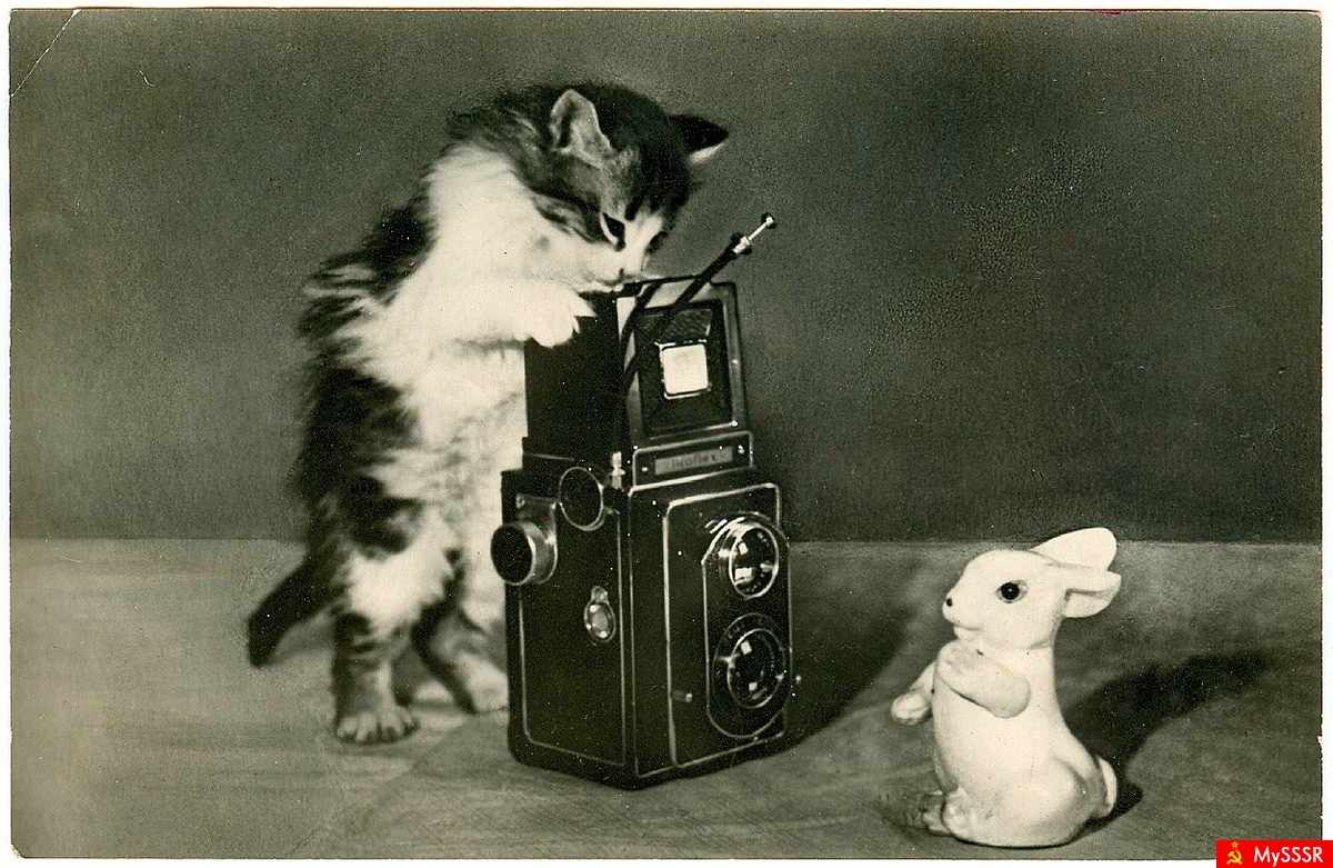    ,   1955 .