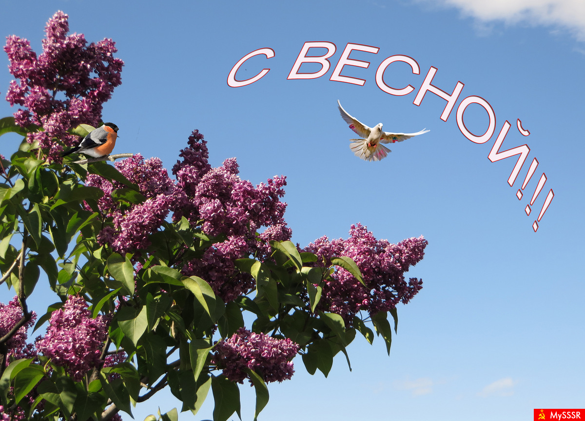 С весной