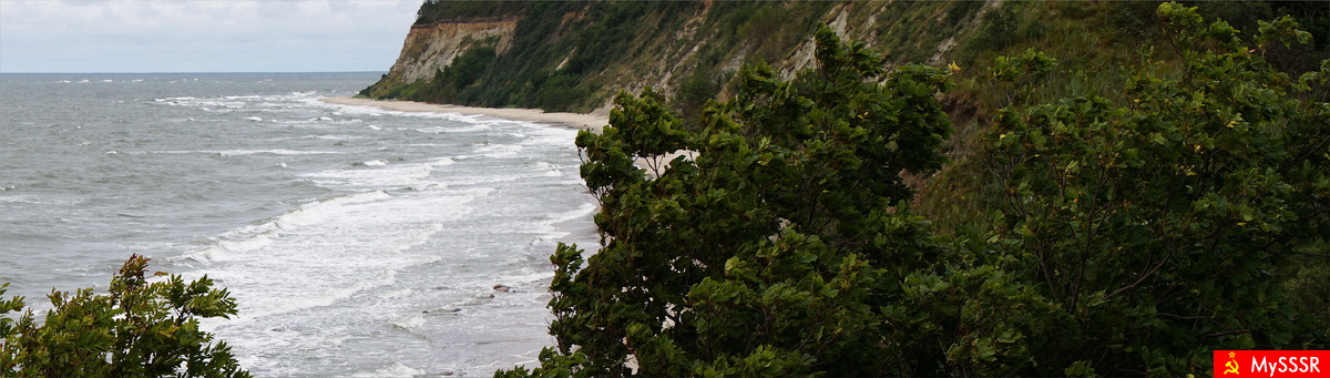 Nature Photo.  .