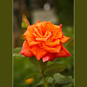Природа