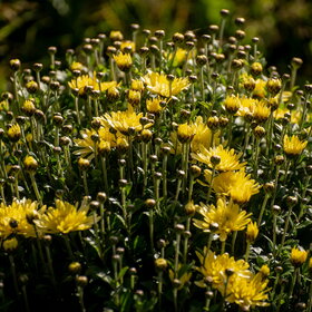 Случайные фотографии. ПРИРОДА