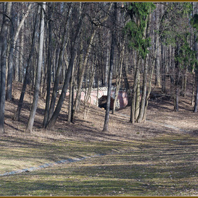 Случайные фотографии. Мой город