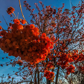 Лучшие фото. ПРИРОДА (0)