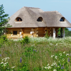 Природа. Балтийский берег.